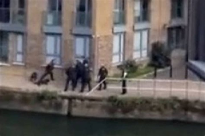 Policía de Londres en medio de las críticas tras matar a dos perros