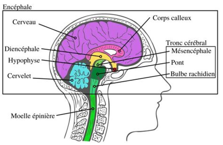 Pourquoi se trouve-t-on souvent plus moche en photo? La science l'explique