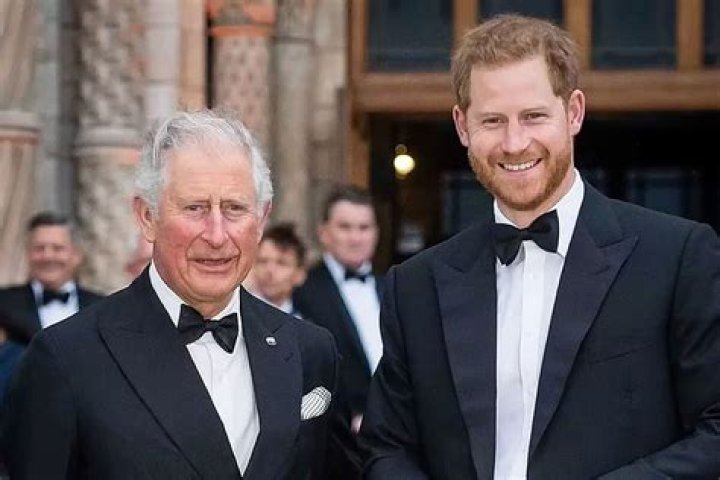 Prince Harry sides with King Charles and not Meghan Markle on this issue