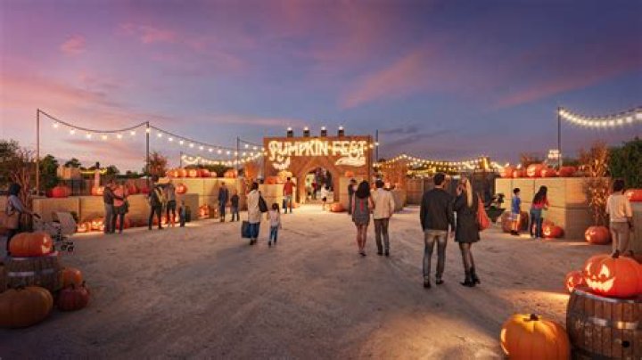 Pumpkin Fest with Scottsdale Fairmont Princess