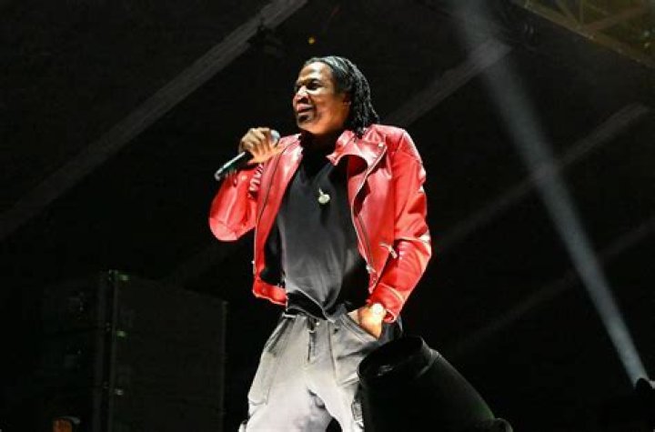 Q-Tip Net Worth  - Pulptastic