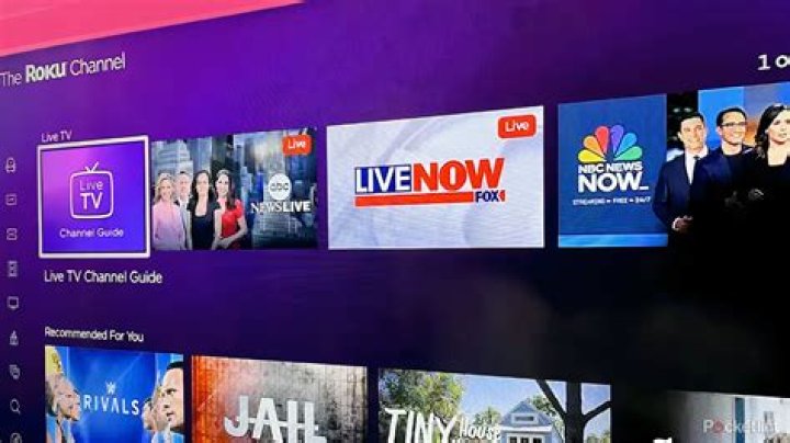 Roku Channels: Best channels, what's free, what's paid, and how to watch