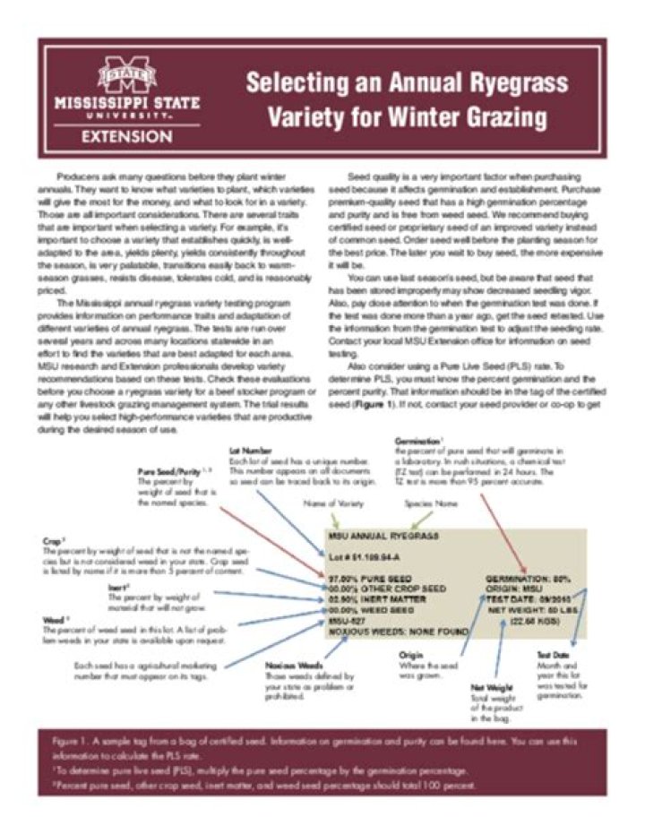 Selecting an Annual Ryegrass Variety for Winter Grazing
