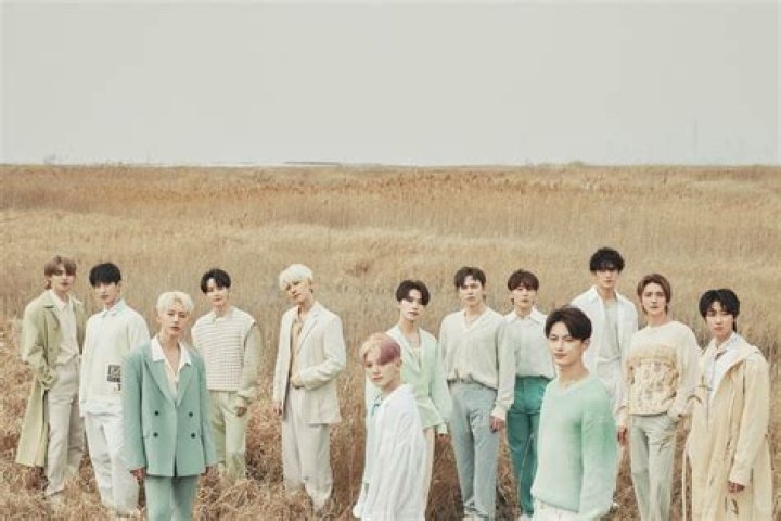 Seventeen – The Bittersweet Anthem of Coming of Age