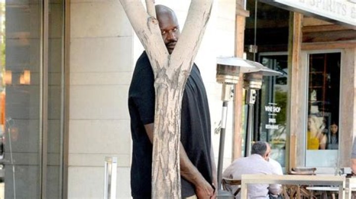 Shaq Hiding Meme: Why Was 7’1 Shaquille O’Neal Hiding Behind A Tree?