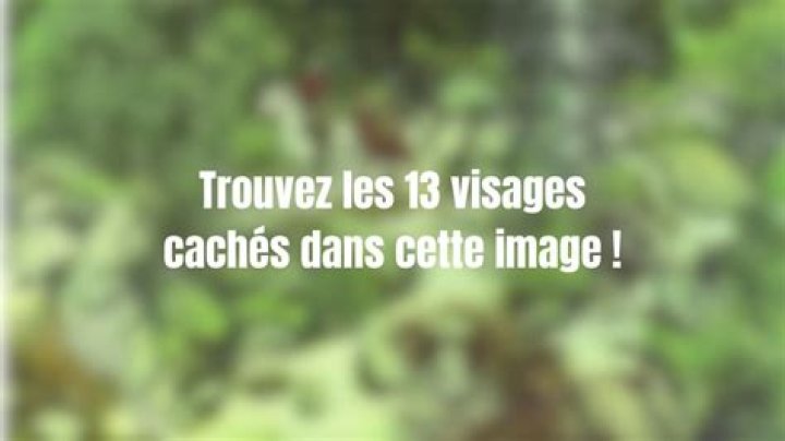Si vous trouvez les 9 visages cachés dans cette illusion d’optique, votre QI est de 108+