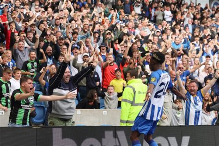 Simon Adingra: ‘Brighton have the players to make the Champions League’
