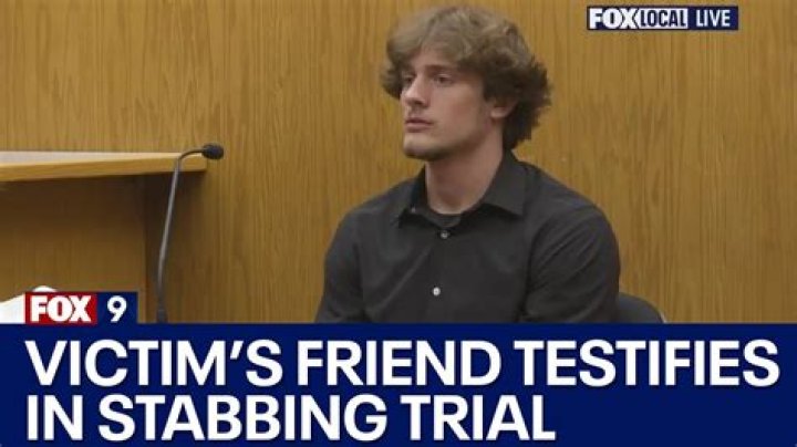 Stalking victim testifies in Cobb murder trial