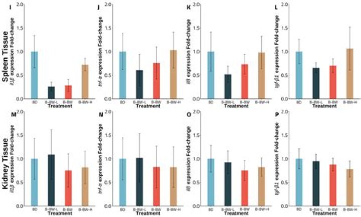 Stocking Recommendations for Ponds 1 Acre or Larger