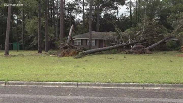 Storm damage in Conyers | 11alive.com
