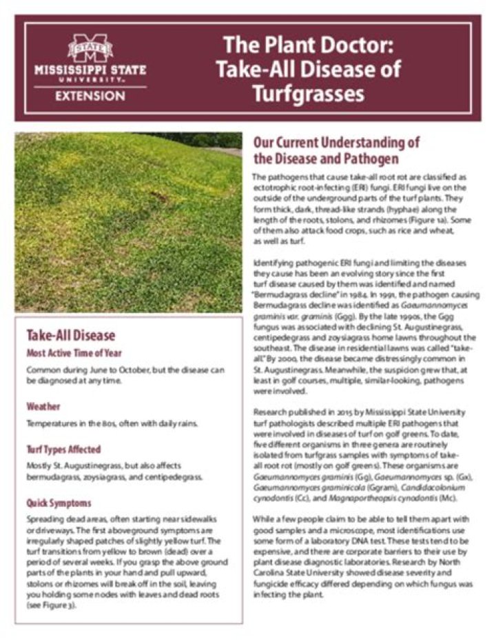 The Plant Doctor: Take-All Disease of Turfgrasses
