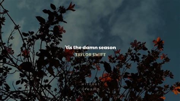 Tis The Damn Season - Vulture