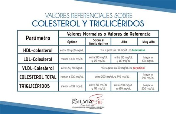 Triglicéridos Altos y Bajos, Qué son los Triglicéridos e Información