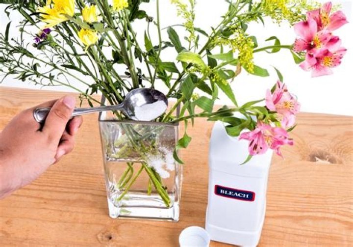 Trucos y consejos para conservar tus flores frescas más tiempo