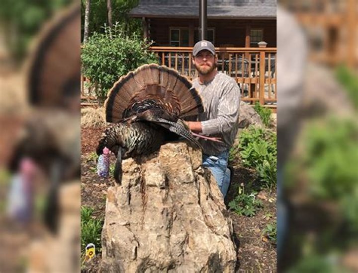 Turkey hunters have several public land options in Miss.