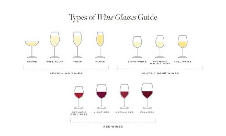 Ultimate Guide to the Different Types of Wine and Wine Glasses