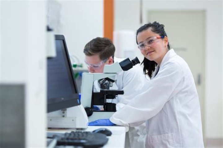 Undergraduate | School of Pharmacy