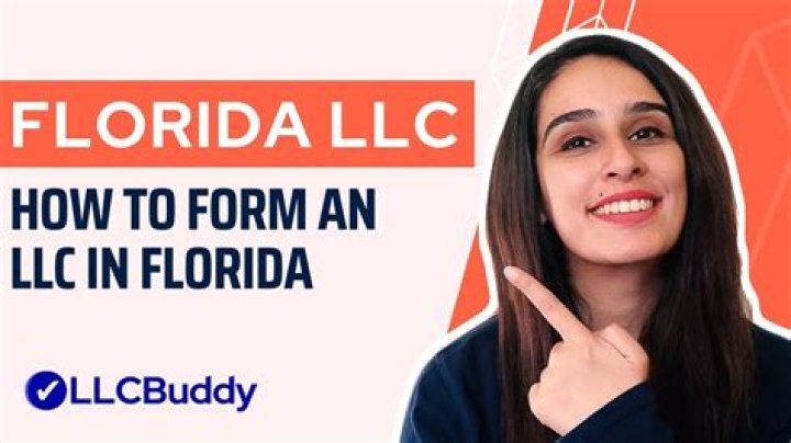 What is An Ambr In A Florida Llc