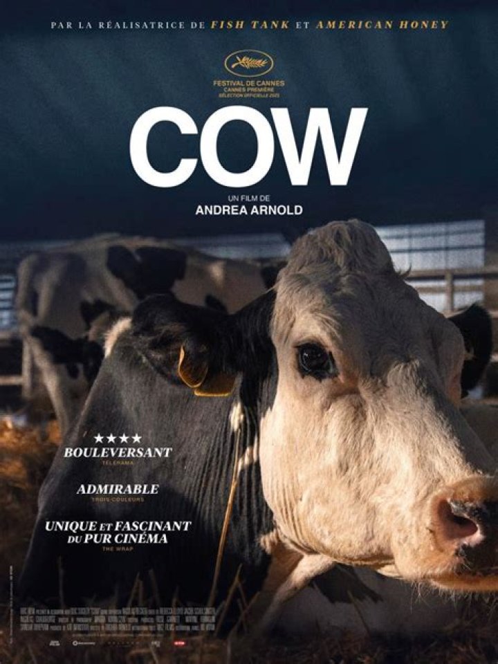 With Cow, Andrea Arnold Wanted to Show ‘the Aliveness of a Nonhuman Animal’