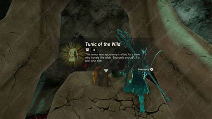 Zelda Tears of the Kingdom Tunic of the Wild, Cap and Trousers